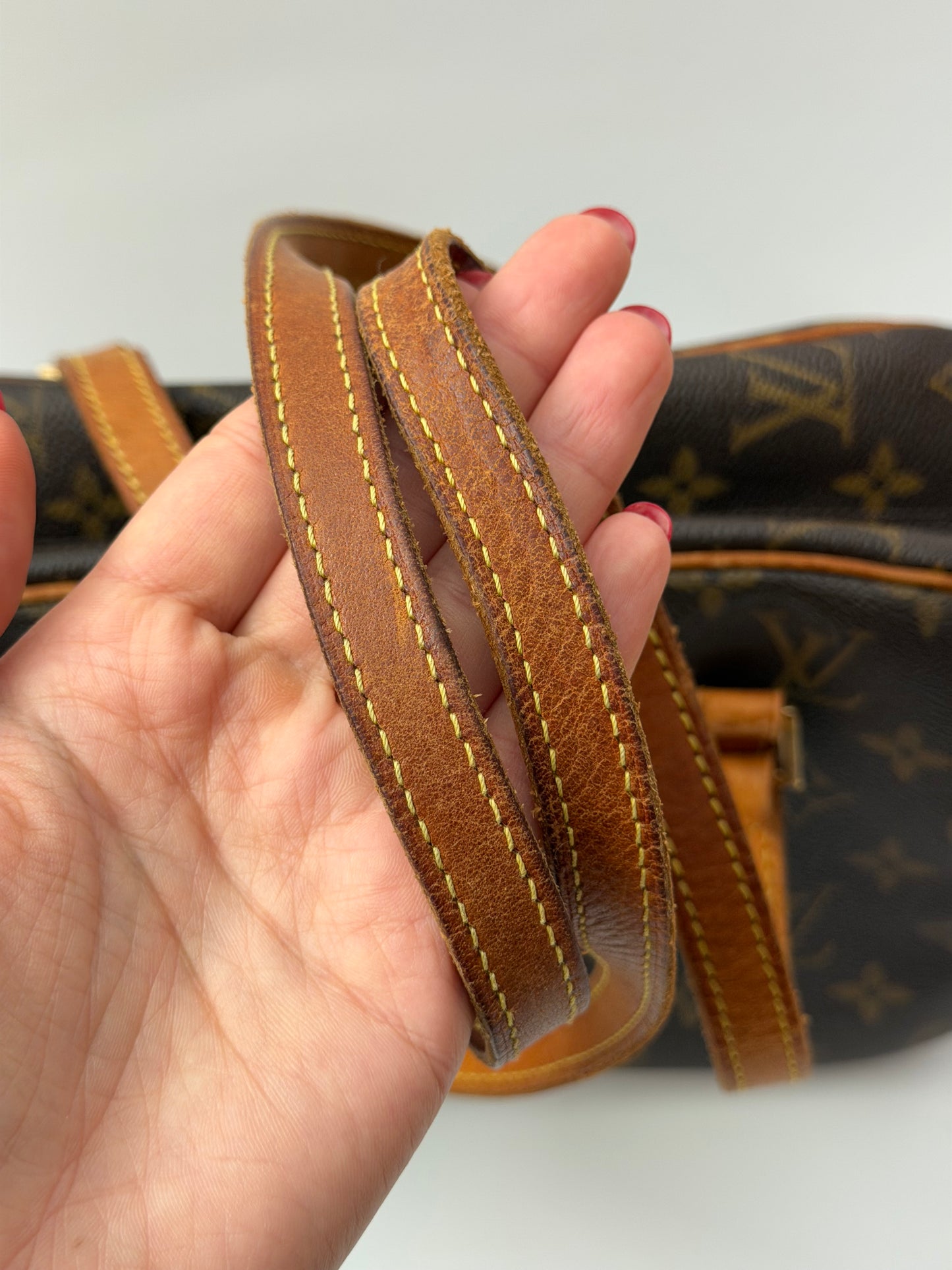 Louis Vuitton Monogram Cite MM